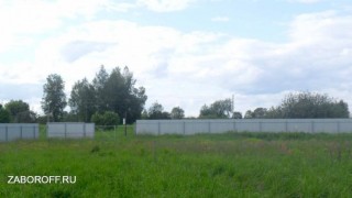 Забор из профнастила на виновых сваях